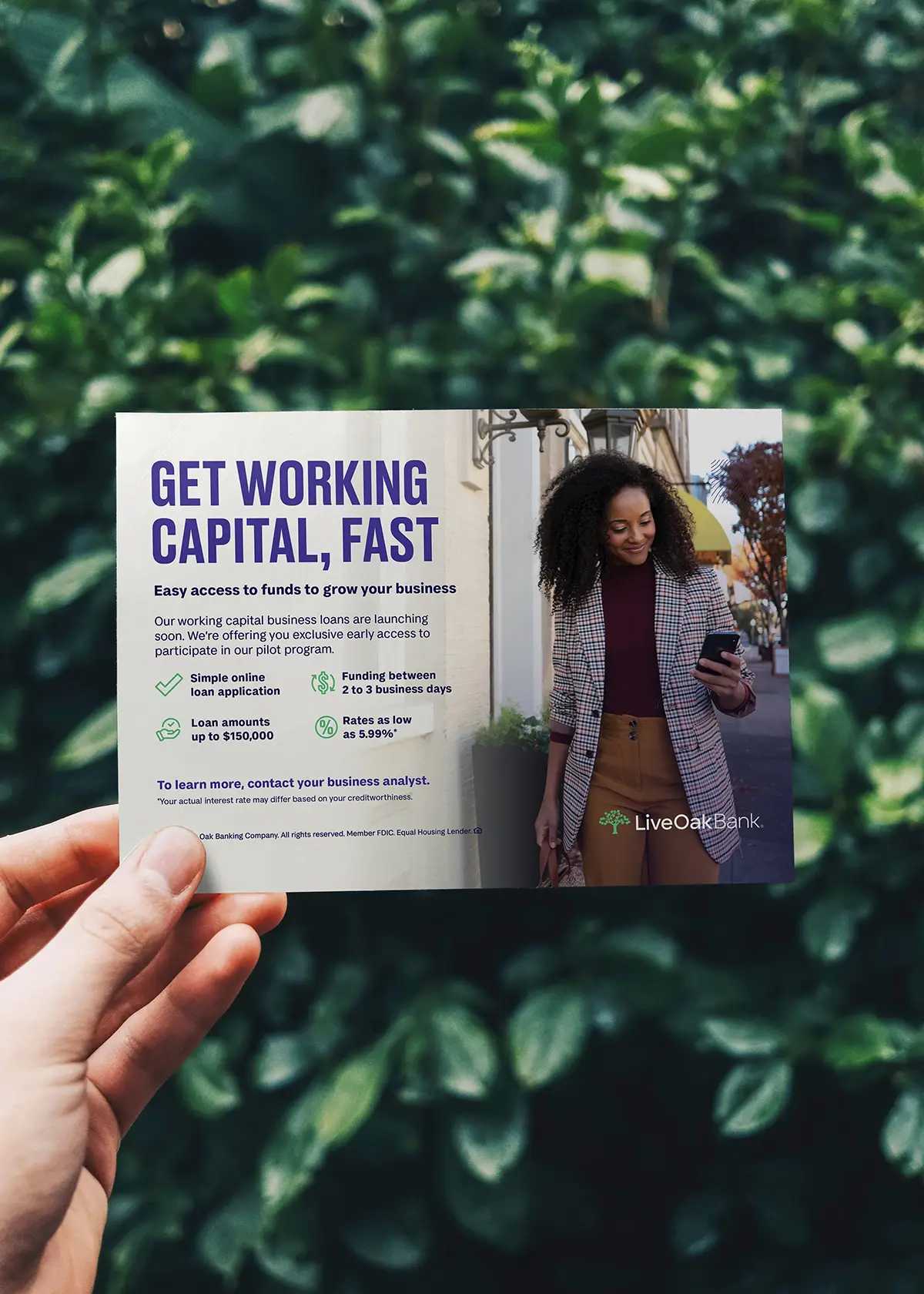 live-oak-bank-tidal-small-business-checking-campaign-collateral-pilot-program-postcard