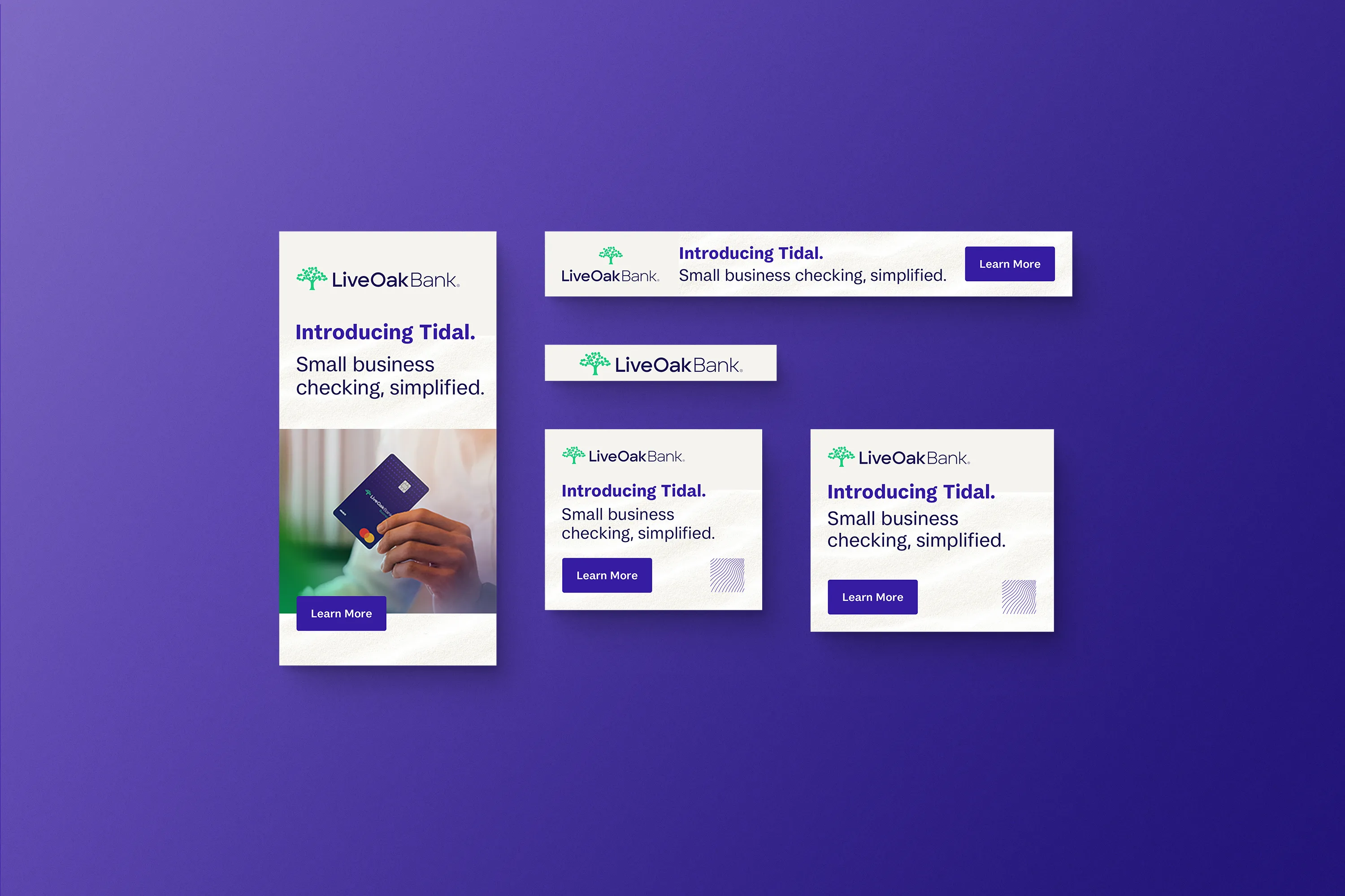 live-oak-bank-tidal-small-business-checking-campaign-product-intro-google-display-ads